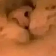 original sound - booth.vcx