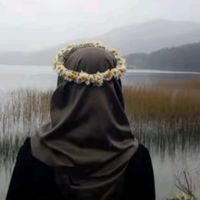 bent_e_hawa260