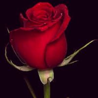 roxanne_1104