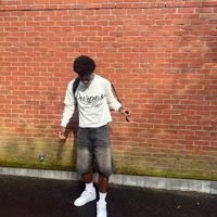 zy.mitch