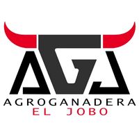 alexjavierbarbaperez