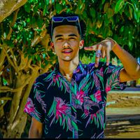 الصوت الأصلي