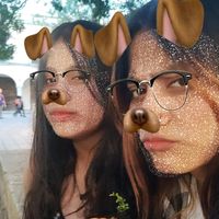 meli_2528