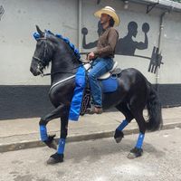 danielcruz487