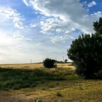 original sound - mohammedbod43