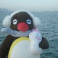 I sleep so I could see you.