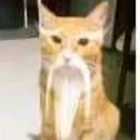 original sound - maww_01