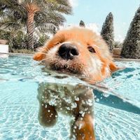 ii.glossy..aesthetic.ii