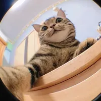 original sound - yeniseyler0