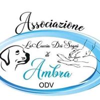 lacucciadeisognidiambr