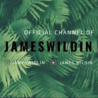 jameswildin