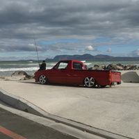 that_bagged_panda