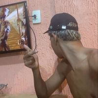 pep.trem55_