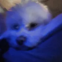 original sound - diyorial