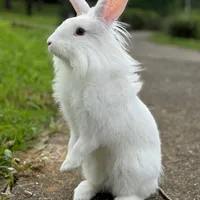 original sound - ester.nascimento659