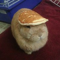 original sound - Kuya Gamer Offcial (KGO)