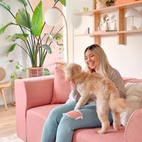 Therefore I am by Danny Devito