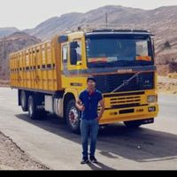 fernandosilvestre74