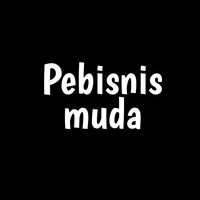 pebisnismuda111