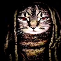 подшар за AT mixxx