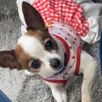 original sound - zacateca853