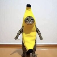 barradecodigo