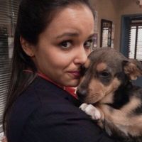 LIZ MACEDO USOU O ÁUDIOAA Te amo liz