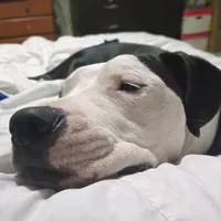 original sound - esteban123.2