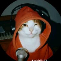 ffin_w