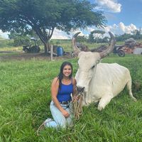 rafaelaboiadeira.ofc