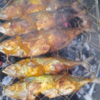suara asli - ayen...123