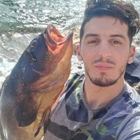 mita.plongeur31