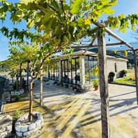 bar_restorant_te_guri_