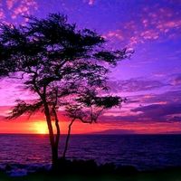 оригинальный звук