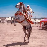 original sound - almaaghribi