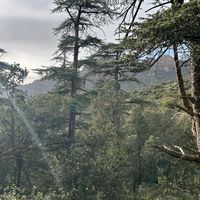 algerie_34
