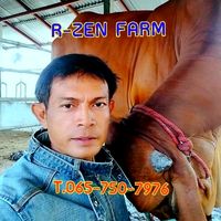 เสียงต้นฉบับ - อาร์เซ็นฟาร์ม