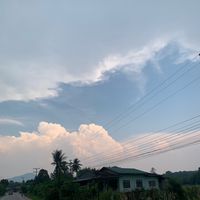 wethita50