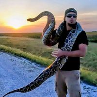 pythondre