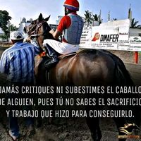 adictoalascarrera