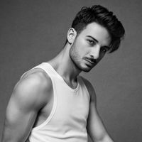 الصوت الأصلي