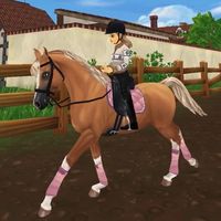 starstable.sso00