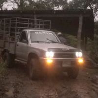 jncalichegarcia