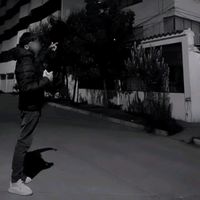 frank_2.v
