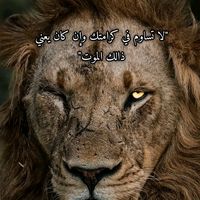 officier__irrigue__001