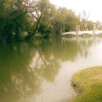 gasoline instrumental