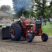 thatclappedblack1466