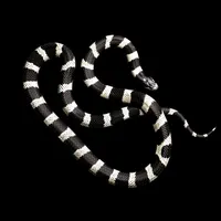 original sound - ___just.do.it___