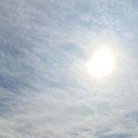 _daniel_2321