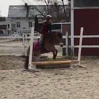 equestrian..oda